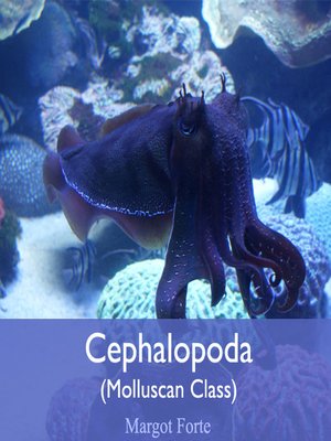 cover image of Cephalopoda